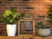 Load image into Gallery viewer, Plant Propagation Station l Wooden Propagation Station Stand l Propagation Station for Counter l Propagation Station Shelf l Indoor Plants
