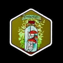 Load image into Gallery viewer, DND Class in a Bottle
