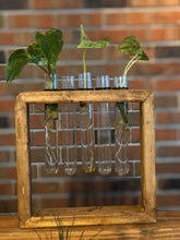 Load image into Gallery viewer, Plant Propagation Station l Wooden Propagation Station Stand l Propagation Station for Counter l Propagation Station Shelf l Indoor Plants
